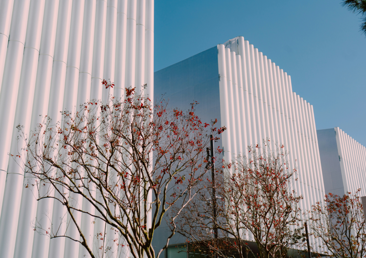 A bare tree in front of the Nancy and Rich Kinder Building at the Museum of Fine Arts Houston.